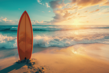 経営はサーフィンの如く